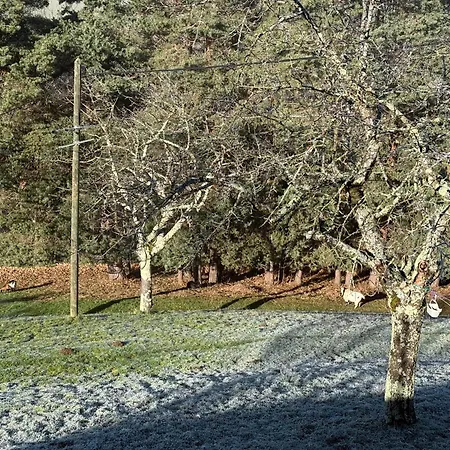 La Grange De Bosc -ardeche Verte - Proche Train De Lamastre Holiday home *