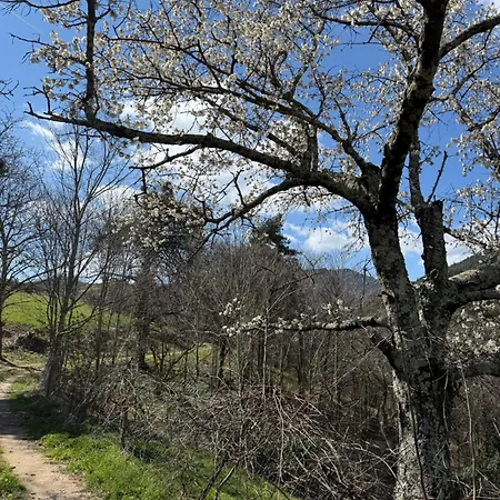 La Grange De Bosc -ardeche Verte - Proche Train De Lamastre