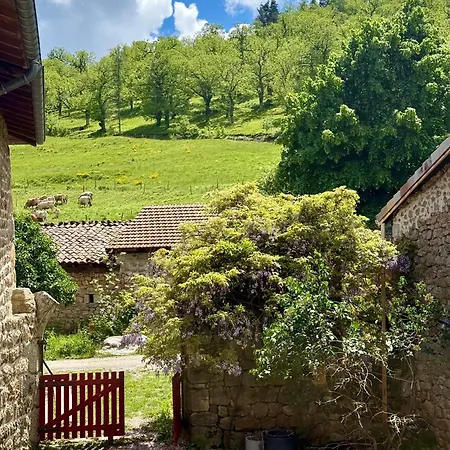 Сasa de vacaciones La Grange De Bosc -ardeche Verte - Proche Train De Lamastre Saint-Prix (Ardeche)