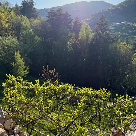 Holiday home La Grange De Bosc -ardeche Verte - Proche Train De Lamastre *