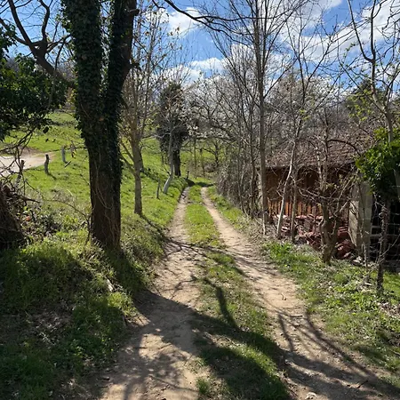 La Grange De Bosc -ardeche Verte - Proche Train De Lamastre Saint-Prix (Ardeche)